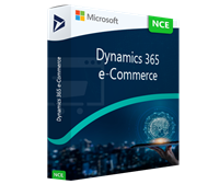 Dynamics 365 e-Commerce (Tier 2)